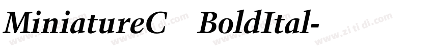 MiniatureC BoldItal字体转换
